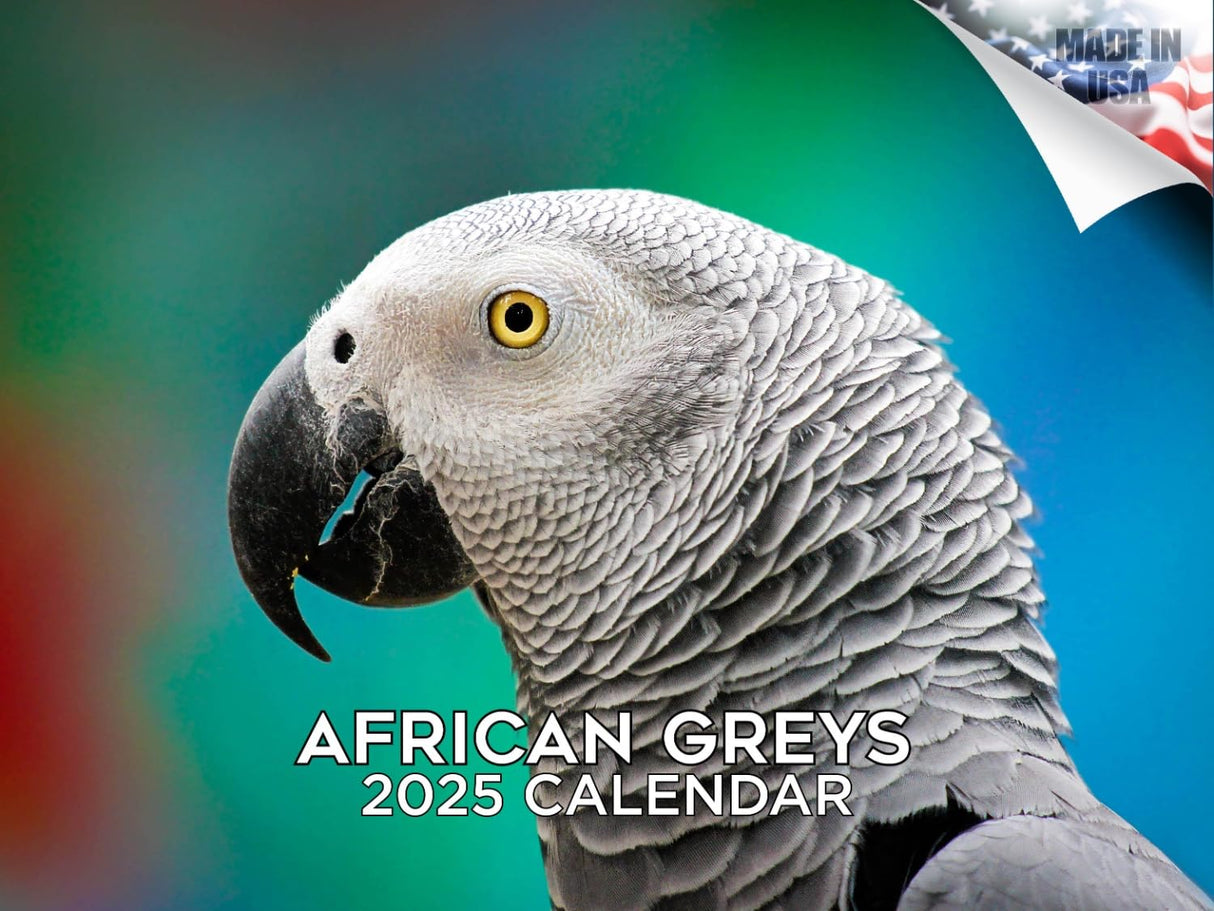 Trump Calendar 2025 Donald Trump Gifts 45 47 President Monthly Wall Calender 12 Month - MAGA - Made In The USA