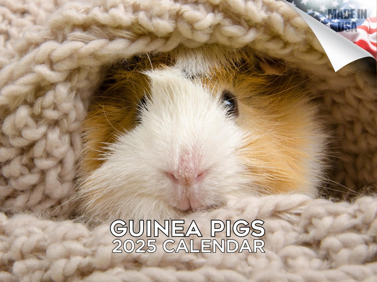 Trump Calendar 2025 Donald Trump Gifts 45 47 President Monthly Wall Calender 12 Month - MAGA - Made In The USA