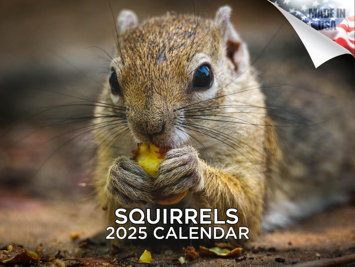 Trump Calendar 2025 Donald Trump Gifts 45 47 President Monthly Wall Calender 12 Month - MAGA - Made In The USA