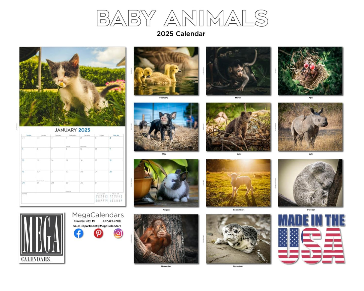 Trump Calendar 2025 Donald Trump Gifts 45 47 President Monthly Wall Calender 12 Month - MAGA - Made In The USA