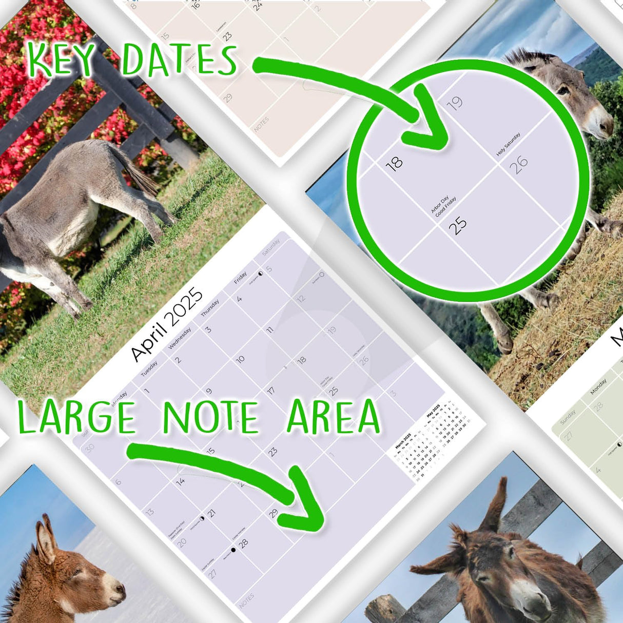 Trump Calendar 2025 Donald Trump Gifts 45 47 President Monthly Wall Calender 12 Month - MAGA - Made In The USA