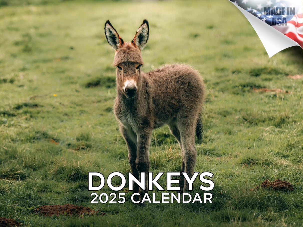 Trump Calendar 2025 Donald Trump Gifts 45 47 President Monthly Wall Calender 12 Month - MAGA - Made In The USA