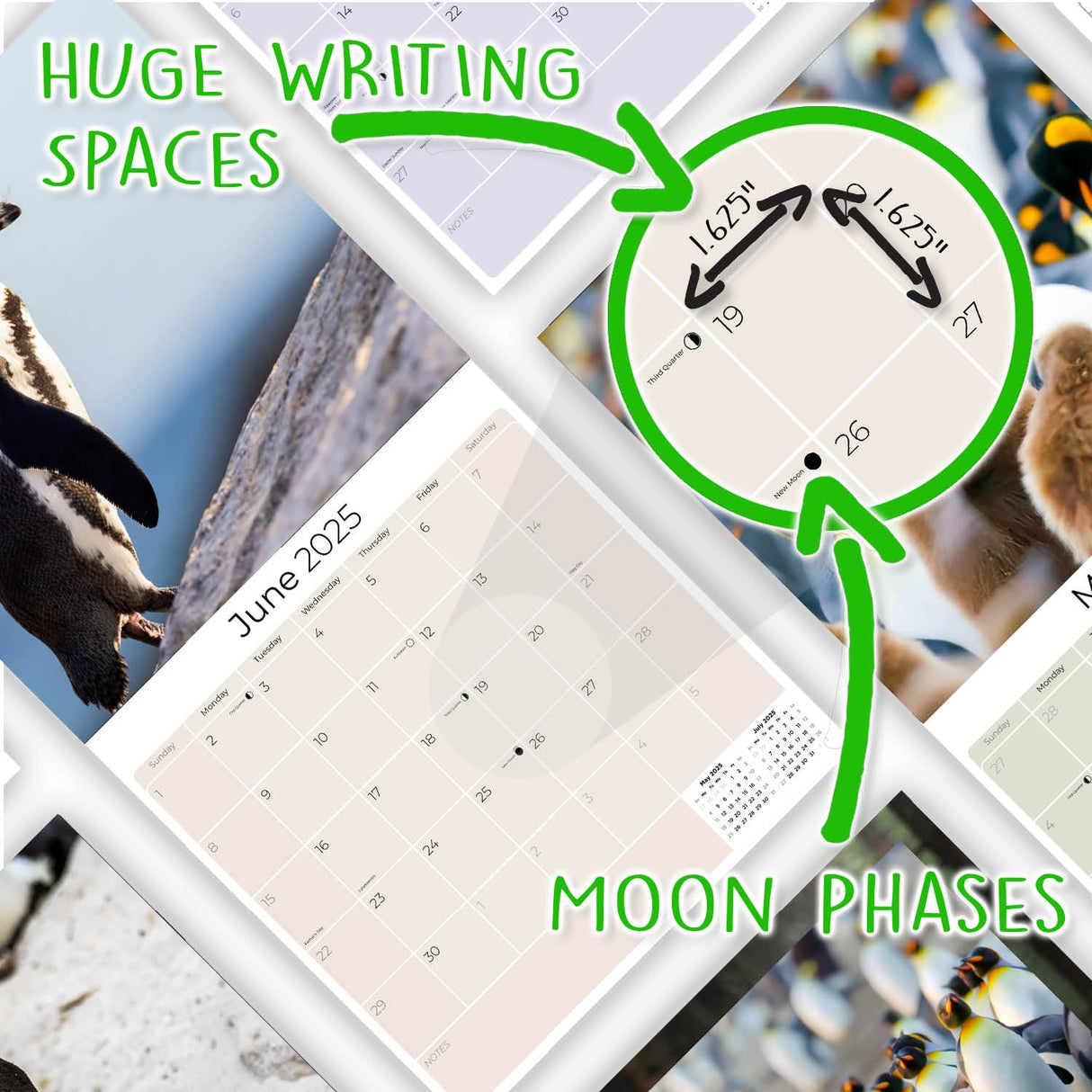 Trump Calendar 2025 Donald Trump Gifts 45 47 President Monthly Wall Calender 12 Month - MAGA - Made In The USA