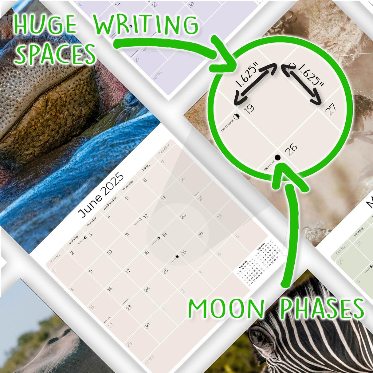 Trump Calendar 2025 Donald Trump Gifts 45 47 President Monthly Wall Calender 12 Month - MAGA - Made In The USA