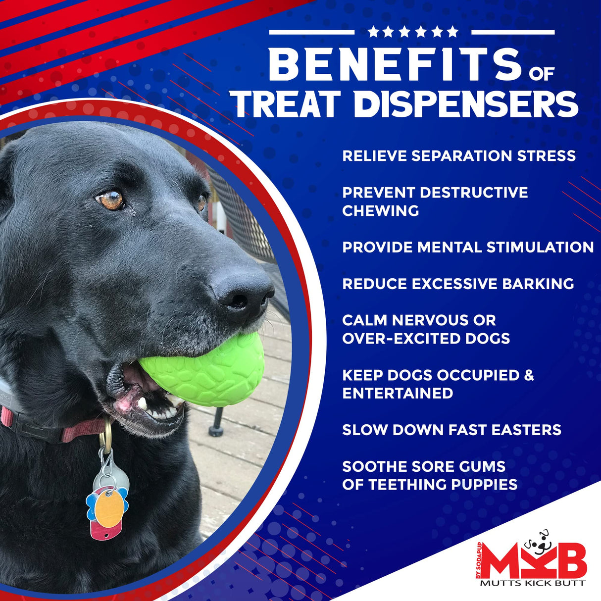 SodaPup Honey Pot – Durable Dog Treat Dispenser & Enrichment Toy Made in USA from Non-Toxic, Pet Safe, Food Safe Natural Rubber Material for Mental Stimulation, Problem Chewing, Calming Nerves, & More