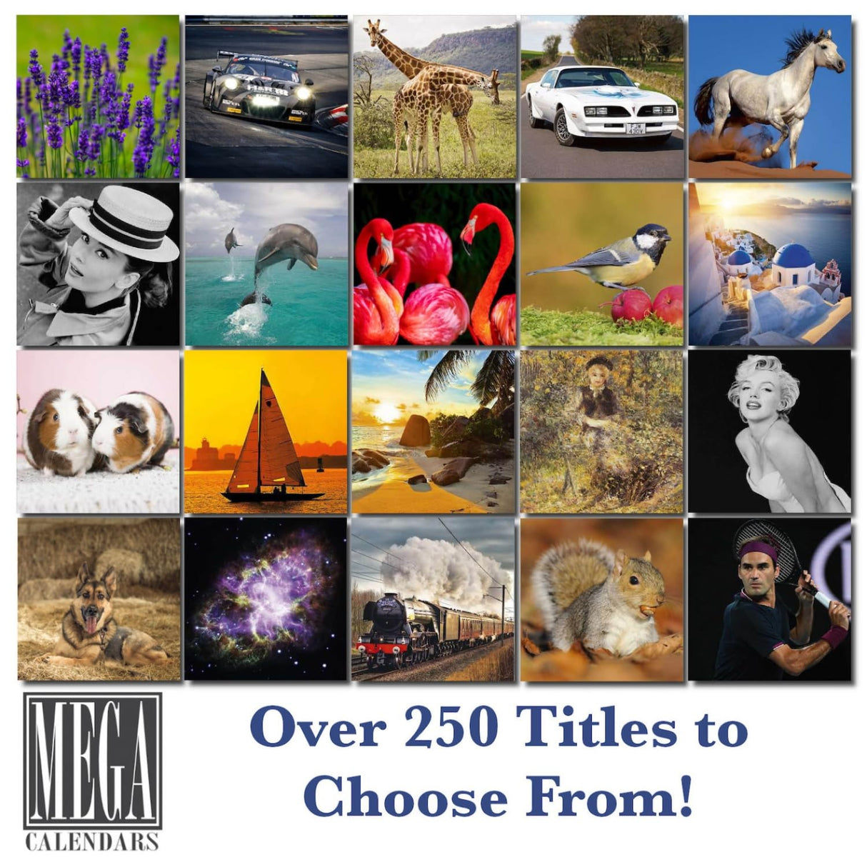 Trump Calendar 2025 Donald Trump Gifts 45 47 President Monthly Wall Calender 12 Month - MAGA - Made In The USA