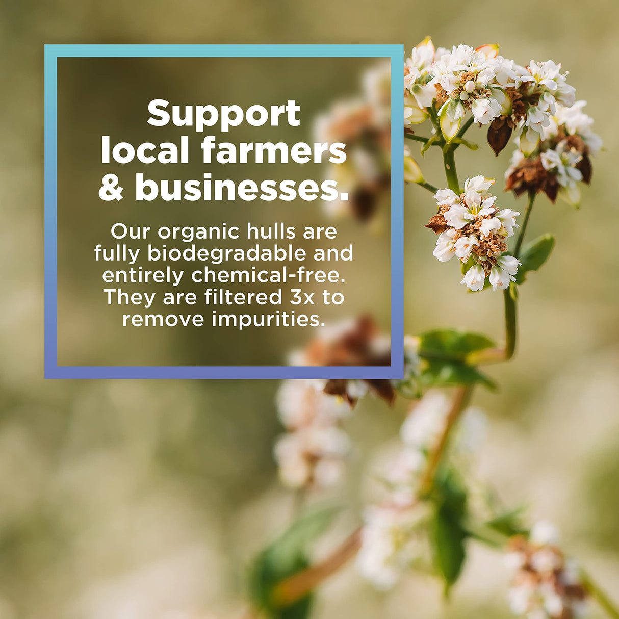 Bean Products Organic Millet Hulls | 100% Organically Grown in The USA | Great for Filling Pillows, Yoga Bolsters, Cushions & More | Chemical Free and Hypoallergenic | 5lbs