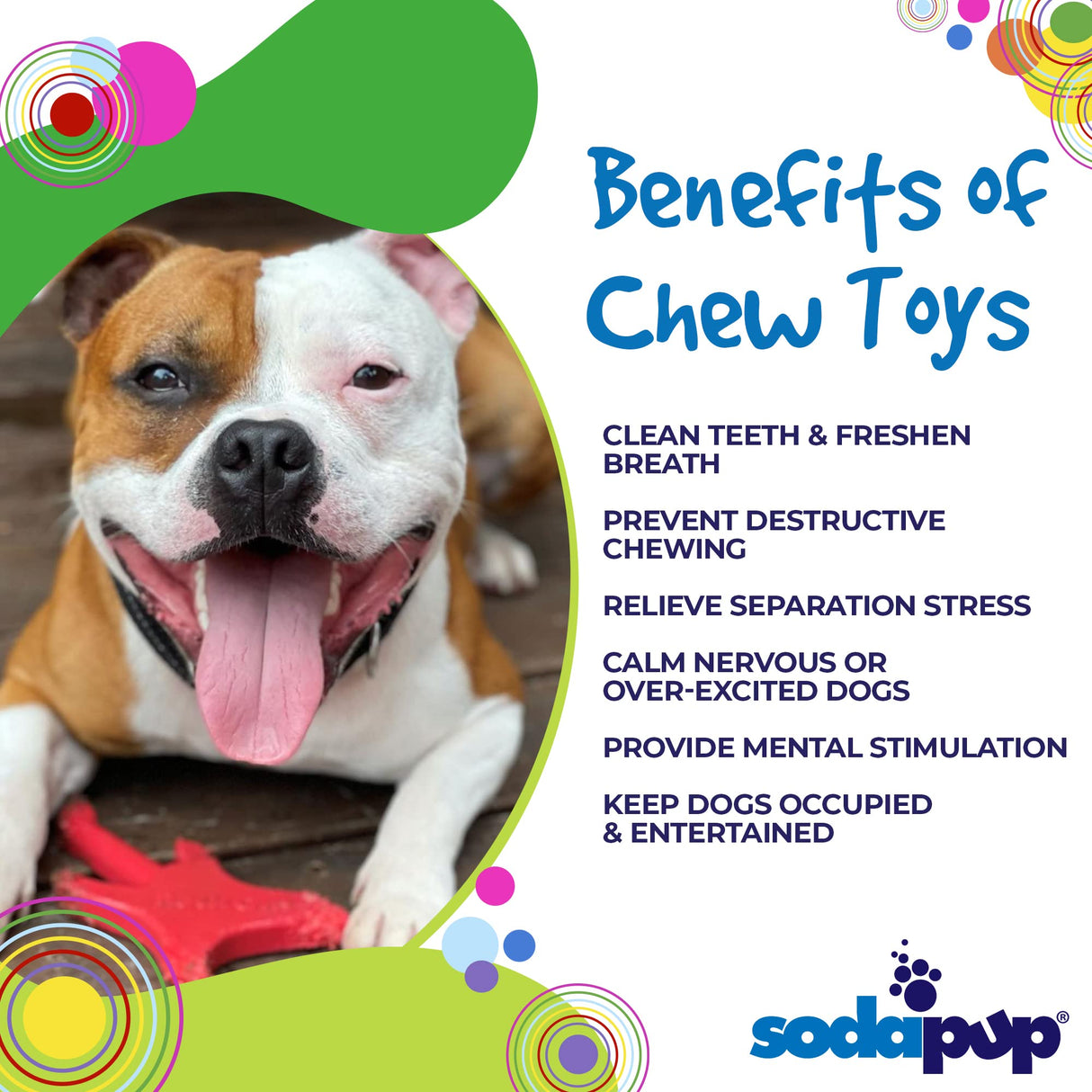 SodaPup Hot Dog – Durable Dog Chew Toy Made in USA from Non-Toxic, Pet Safe, Food Safe Nylon Material for Mental Stimulation, Clean Teeth, Fresh Breath, Problem Chewing, Calming Nerves, & More