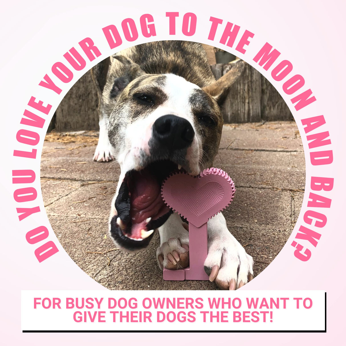 Bullibone Nylon Dog Chew Toy Nylon Bone - Improves Dental Hygiene, Easy to Grip Bottom, and Permeated with Flavor (Bacon, Large - 2 Pack)