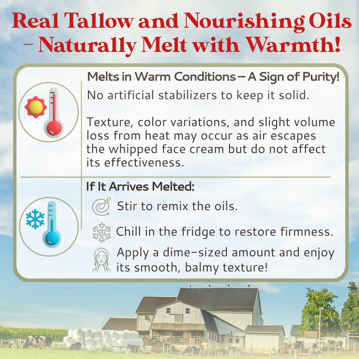 Amish Farms Tallow Face Cream - Handcrafted Beef Tallow for Skin Moisturizer Infused with Natural Ingredients, Orange & Vanilla Oils, 100% Grass-Fed Beef Tallow for Hydrated & Radiant Skin (50g Jar)