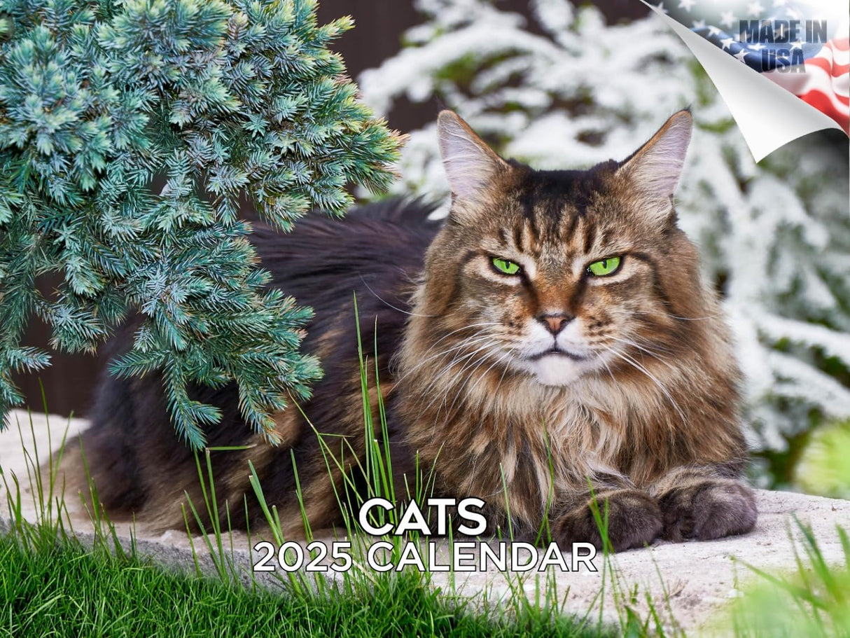 Trump Calendar 2025 Donald Trump Gifts 45 47 President Monthly Wall Calender 12 Month - MAGA - Made In The USA