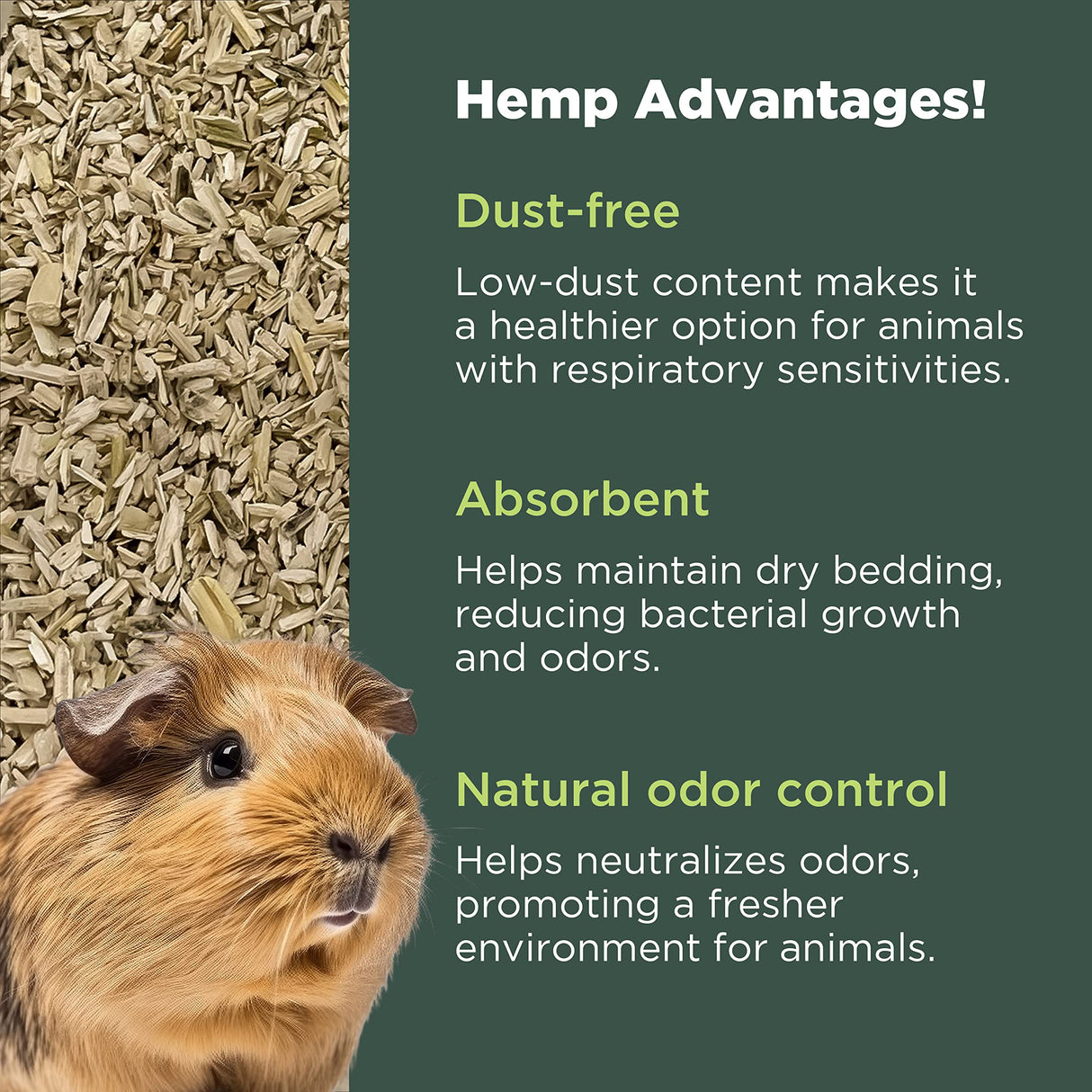 Hemp Chicken and Animal Bedding 8 Lbs of Natural Ground Hurds - SUPER ABSORBENT- DUST FREE- for your CHICKENS, Horse, Rabbit, Reptile, Hamster, Cage Coop or CAT LITTER - USA Grown - Carbon Negative