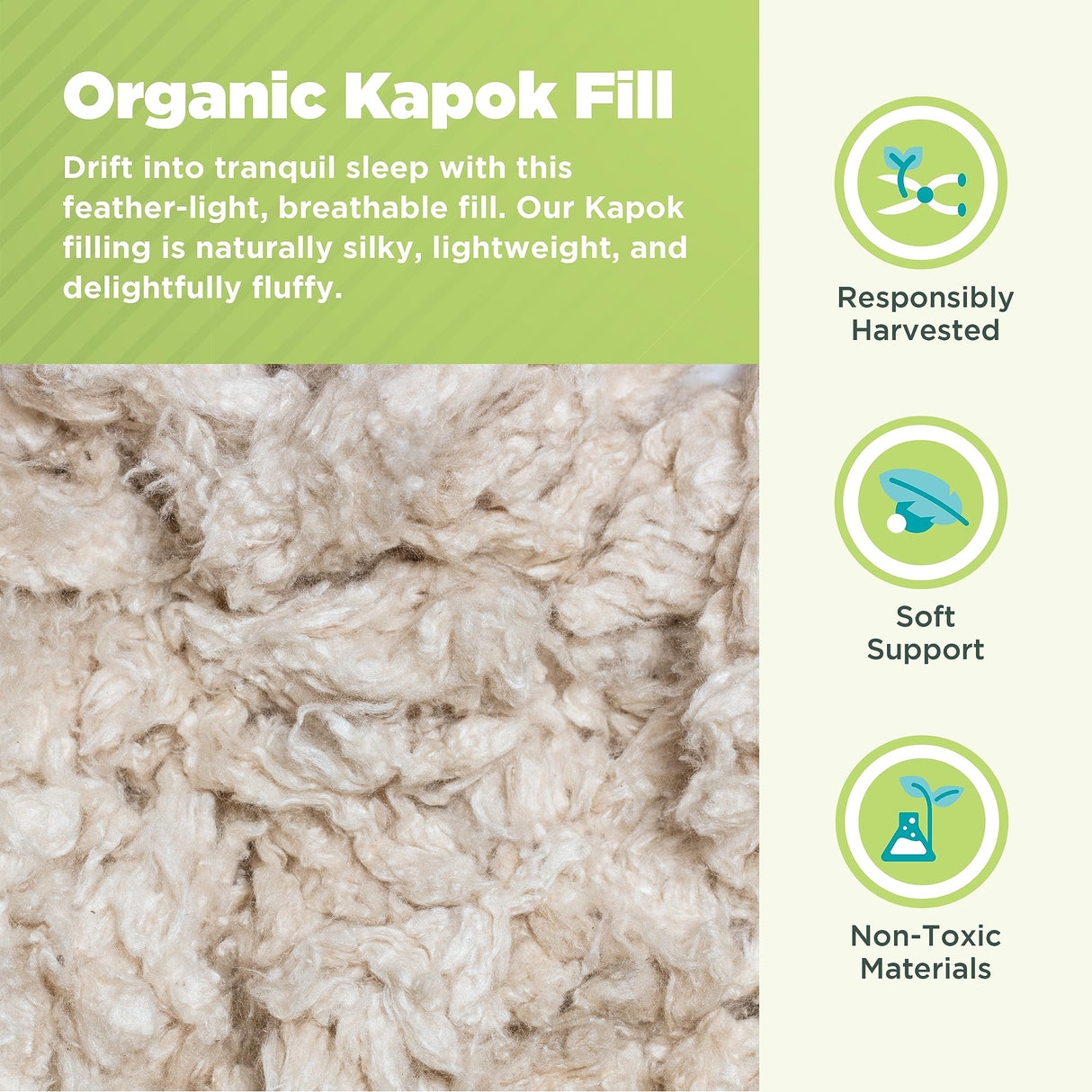 Bean Products Kapok Pillow - 14 x 22 Euro Size, Organic Cotton, Vegan, Premium Quality - Made in USA Neck Bed Body Floor Cushion Insert Couch Throw Bolster - Organic Eco Friendly Fabric and Fill