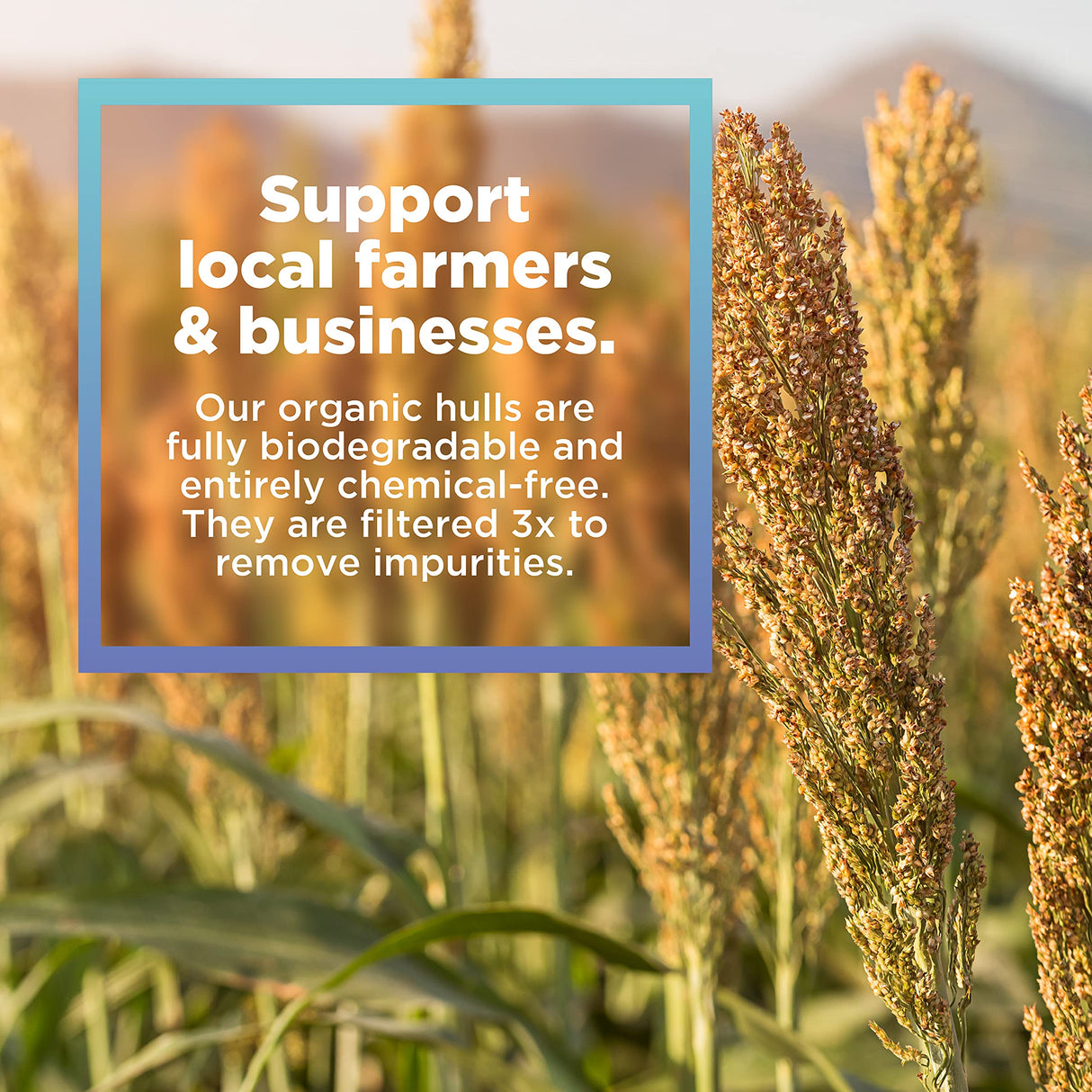 Bean Products Organic Millet Hulls | 100% Organically Grown in The USA | Great for Filling Pillows, Yoga Bolsters, Cushions & More | Chemical Free and Hypoallergenic | 5lbs