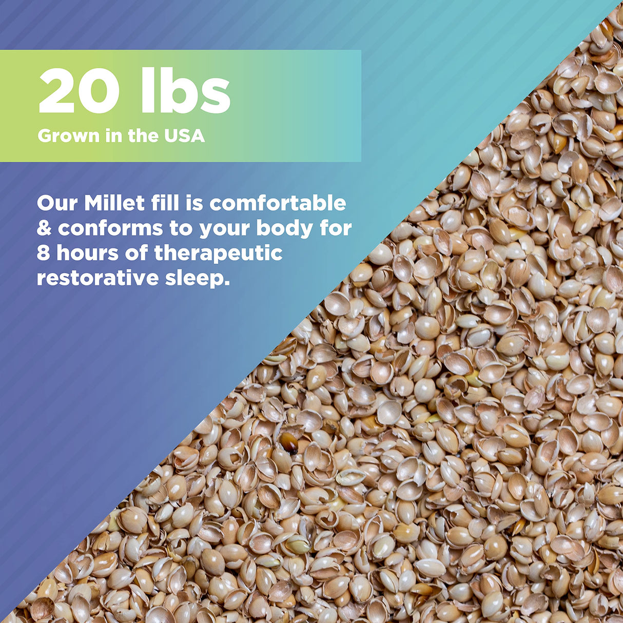 Bean Products Organic Millet Hulls | 100% Organically Grown in The USA | Great for Filling Pillows, Yoga Bolsters, Cushions & More | Chemical Free and Hypoallergenic | 5lbs