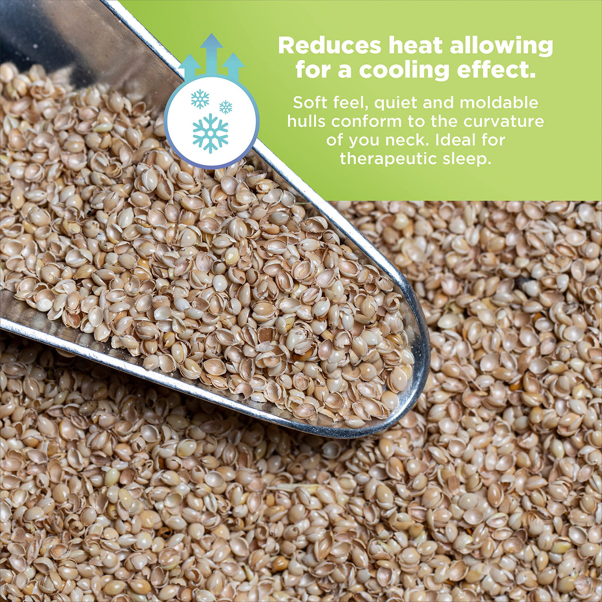 Bean Products Organic Millet Hulls | 100% Organically Grown in The USA | Great for Filling Pillows, Yoga Bolsters, Cushions & More | Chemical Free and Hypoallergenic | 5lbs