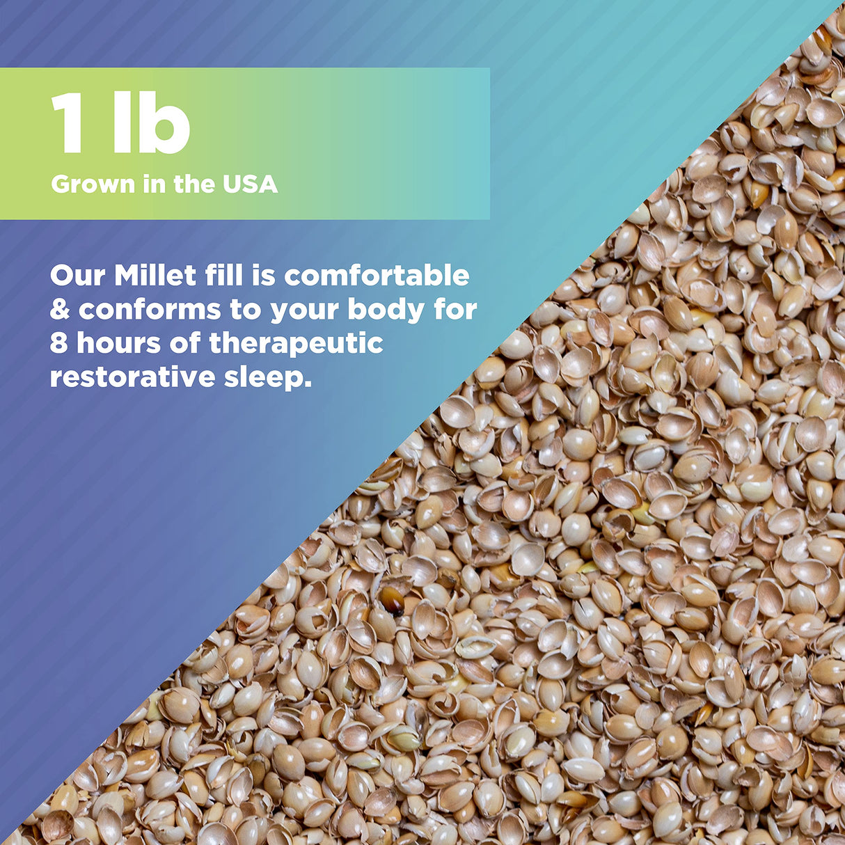 Bean Products Organic Millet Hulls | 100% Organically Grown in The USA | Great for Filling Pillows, Yoga Bolsters, Cushions & More | Chemical Free and Hypoallergenic | 5lbs