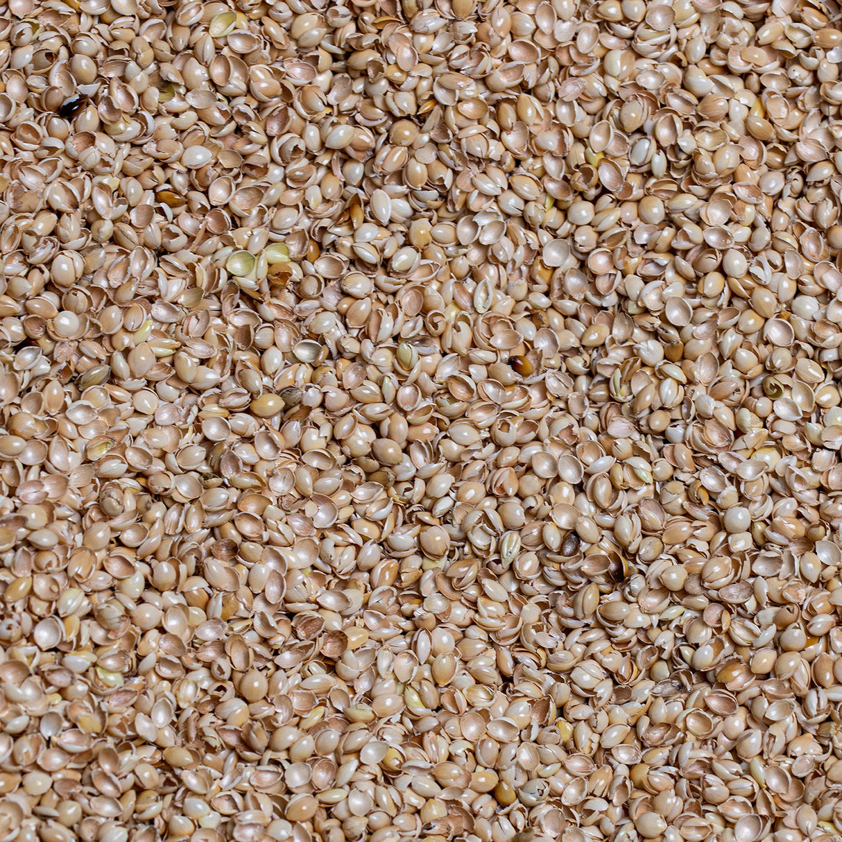 Bean Products Organic Millet Hulls | 100% Organically Grown in The USA | Great for Filling Pillows, Yoga Bolsters, Cushions & More | Chemical Free and Hypoallergenic | 5lbs