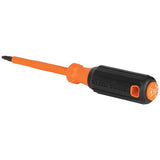 Klein Tools 1005RINS Insulated Pliers, Made in USA, Cutting / Crimping Tool for Insulated and Non-Insulated 10 to 22 AWG Wire and Connectors,1000V Rated