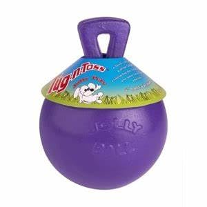 Jolly Pets Tug-n-Toss Heavy Duty Dog Toy Ball with Handle, 8 Inches/Large, Blueberry