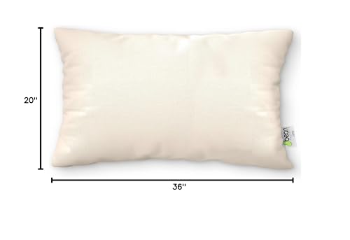 Bean Products Millet Pillow for Sleeping - Pillow Case Protector is 100% Organic Cotton Waterproof & Breathable - Fully Zipped Enclosure for Pillow Protection - Made in USA - Queen