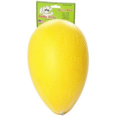 Jolly Pets Jolly Egg Dog Toy, 12 Inches/Large, Purple