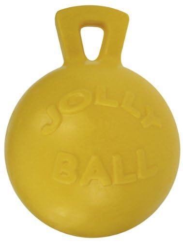 Jolly Pets Tug-n-Toss Heavy Duty Dog Toy Ball with Handle, 8 Inches/Large, Blueberry