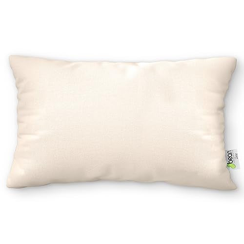 Bean Products Millet Pillow for Sleeping - Pillow Case Protector is 100% Organic Cotton Waterproof & Breathable - Fully Zipped Enclosure for Pillow Protection - Made in USA - Queen