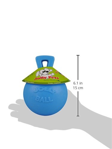 Jolly Pets Tug-n-Toss Heavy Duty Dog Toy Ball with Handle, 8 Inches/Large, Blueberry