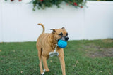 Jolly Pets Mini Jolly Soccer Ball; Floating-Bouncing Dog Toy; 3" Ocean Blue