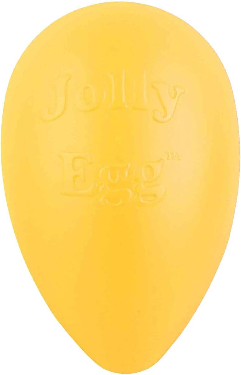 Jolly Pets Jolly Egg Dog Toy, 12 Inches/Large, Purple