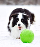 Jolly Pets Medium Soccer Ball Floating-Bouncing Dog Toy, 6 inch Diameter, Apple Green (SB06 GR)