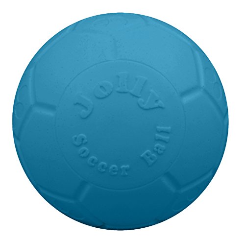 Jolly Pets Medium Soccer Ball Floating-Bouncing Dog Toy, 6 inch Diameter, Apple Green (SB06 GR)