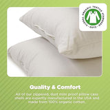 Bean Products Millet Pillow for Sleeping - Pillow Case Protector is 100% Organic Cotton Waterproof & Breathable - Fully Zipped Enclosure for Pillow Protection - Made in USA - Queen
