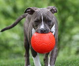 Jolly Pets Medium Soccer Ball Floating-Bouncing Dog Toy, 6 inch Diameter, Apple Green (SB06 GR)