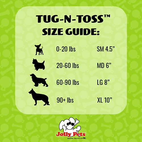 Jolly Pets Tug-n-Toss Heavy Duty Dog Toy Ball with Handle, 8 Inches/Large, Blueberry