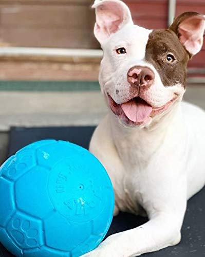 Jolly Pets Medium Soccer Ball Floating-Bouncing Dog Toy, 6 inch Diameter, Apple Green (SB06 GR)