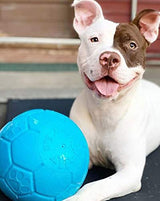 Jolly Pets Medium Soccer Ball Floating-Bouncing Dog Toy, 6 inch Diameter, Apple Green (SB06 GR)