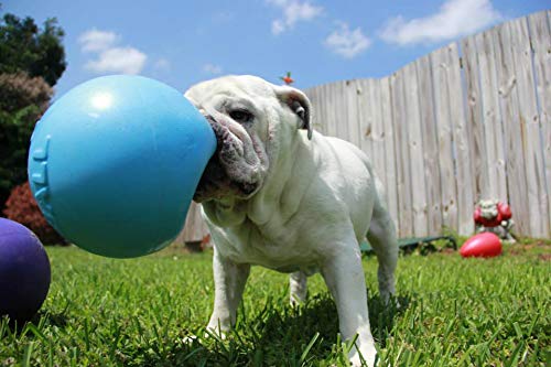 Jolly Pets Bounce-n-Play Dog Toy Ball, 6 Inches, Pink, 6 Inches/Medium (2506 PK)