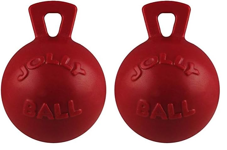 Jolly Pets Tug-n-Toss Heavy Duty Dog Toy Ball with Handle, 8 Inches/Large, Blueberry