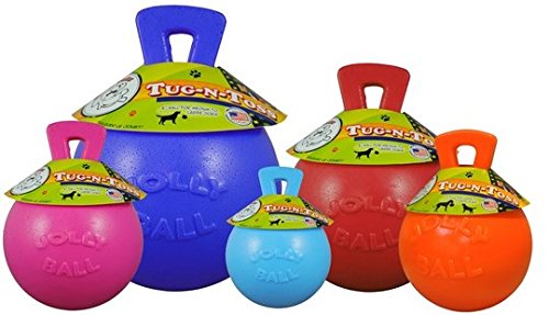 Jolly Pets Tug-n-Toss Heavy Duty Dog Toy Ball with Handle, 8 Inches/Large, Blueberry