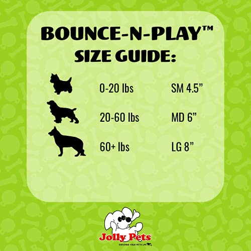 Jolly Pets Bounce-n-Play Dog Toy Ball, 6 Inches, Pink, 6 Inches/Medium (2506 PK)