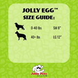 Jolly Pets Jolly Egg Dog Toy, 12 Inches/Large, Purple