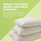 Bean Products Millet Pillow for Sleeping - Pillow Case Protector is 100% Organic Cotton Waterproof & Breathable - Fully Zipped Enclosure for Pillow Protection - Made in USA - Queen