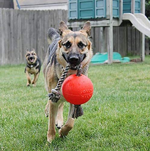 Jolly Pets Romp-n-Roll Rope and Ball Dog Toy, 8 Inches/Large, Orange