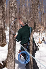 Butternut Mountain Farm Pure Vermont Maple Syrup, Organic, Grade A, Amber Rich, 12 oz, Easy Squeeze Bottle