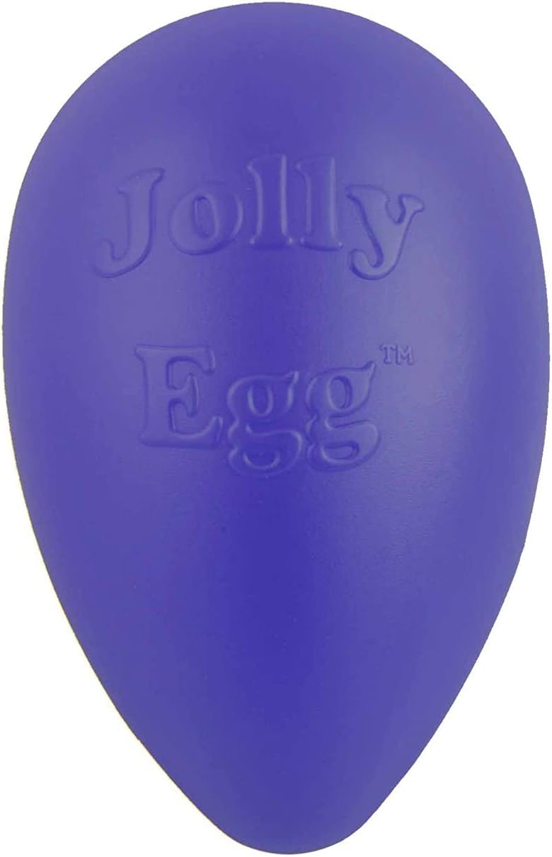 Jolly Pets Jolly Egg Dog Toy, 12 Inches/Large, Purple