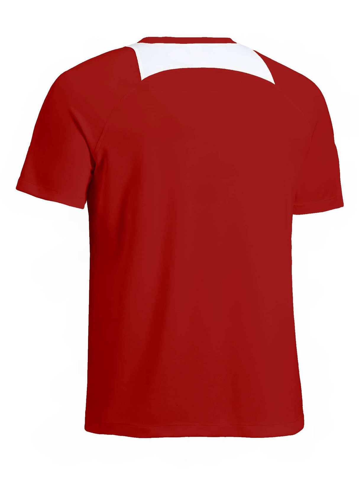 Expert Brand USA-Made Men's Drimax Dry Fit Raglan Colorblock Athletic T-Shirt