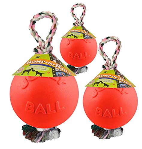 Jolly Pets Romp-n-Roll Rope and Ball Dog Toy, 8 Inches/Large, Orange