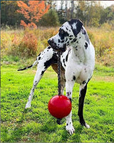 Jolly Pets Romp-n-Roll Rope and Ball Dog Toy, 8 Inches/Large, Orange